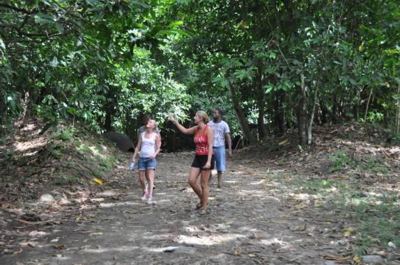 Com os amigos de Berlim, na trilha para a cachoeira Argyle, a maior de Tobago, próximo à Speyside